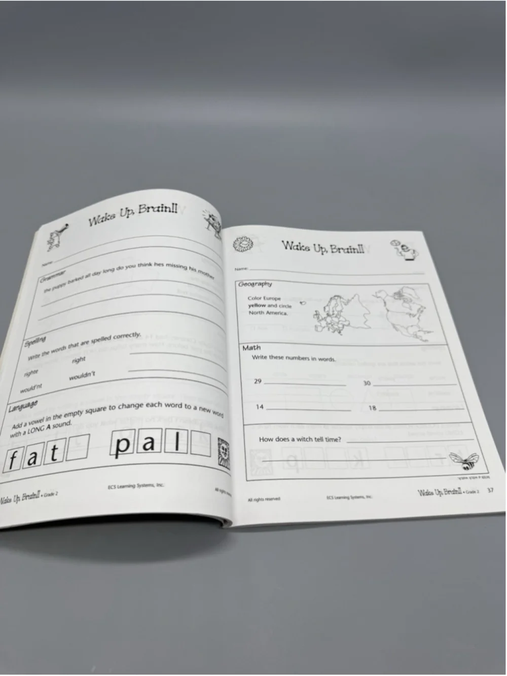 Wake Up Brain Grade 2 Activity Workbook Michelle Ball Barbara Morris Homeschool